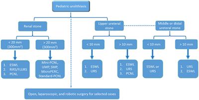 Minimally invasive surgery for pediatric renal and ureteric stones: A therapeutic update